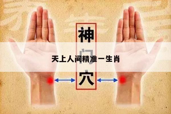 天上人间精准一生肖