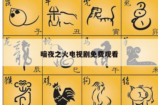 暗夜之火电视剧免费观看