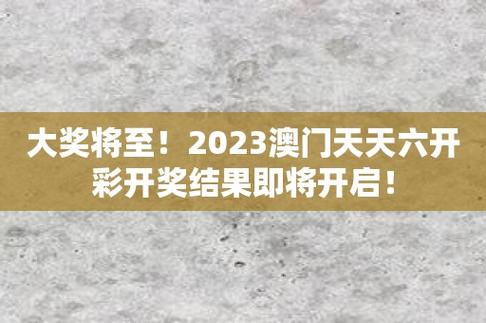 澳门天天开彩期期精准单双,设计策略快速解答_整版DKJ656.74