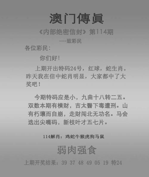 澳门马会资料网站,设计策略快速解答_整版DKJ656.74