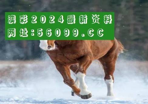 澳门近80期开奖记录,设计策略快速解答_整版DKJ656.74