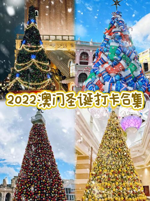 2024年11月20日 第13页