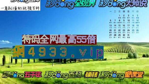 澳门精准免费资料大全49码,真实经典策略设计_VR型43.237