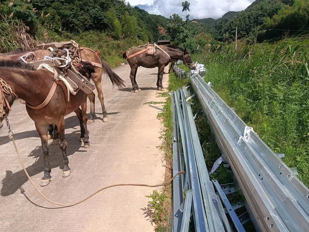 全国骡马运输队,设计策略快速解答_整版DKJ656.74