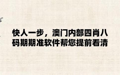 2021年澳门码资料大全,设计策略快速解答_VR型43.237