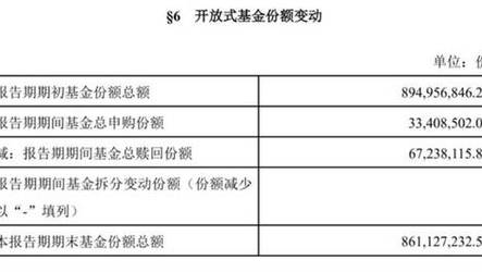 一码一肖100准资料,设计策略快速解答_整版DKJ656.74