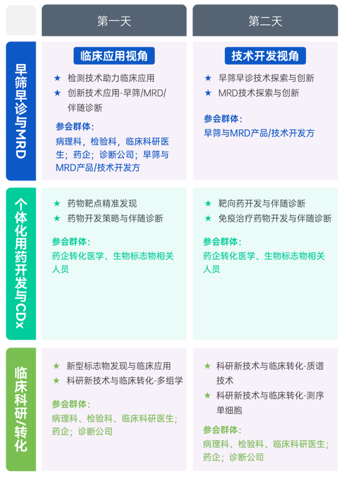 2024年新澳门精准免费大全,设计策略快速解答_整版DKJ656.74