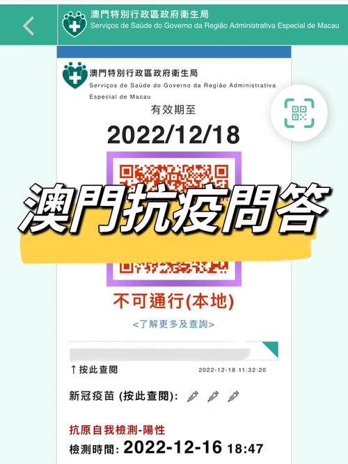 2024年12月8日 第8页