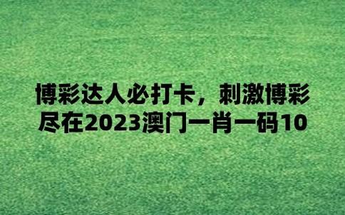 2024年12月8日 第7页