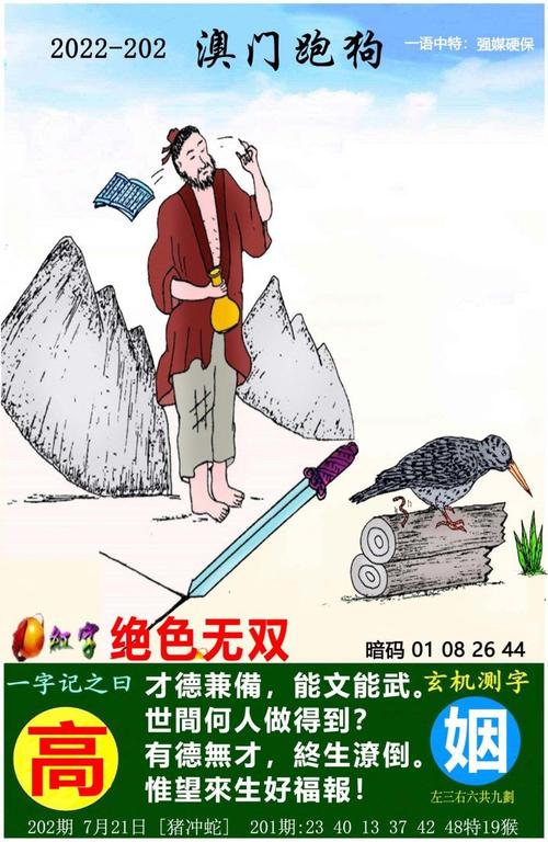 澳门正版精准免费挂牌,设计策略快速解答_整版DKJ656.74