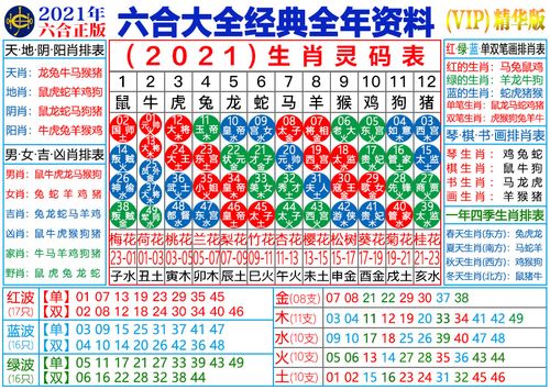 澳门精准资料四肖,设计策略快速解答_整版DKJ656.74