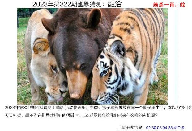 2023年澳门正版资料全年免费