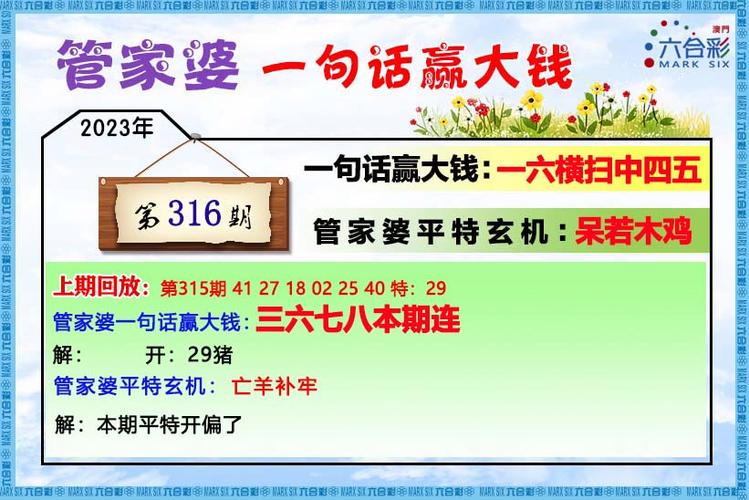 2023澳门历史开奖记录,设计策略快速解答_整版DKJ656.74