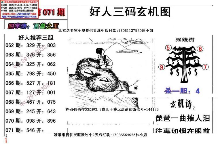 香港今期出什么特马,设计策略快速解答_整版DKJ656.74