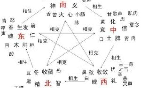 五行相生相克的精准排肖公式