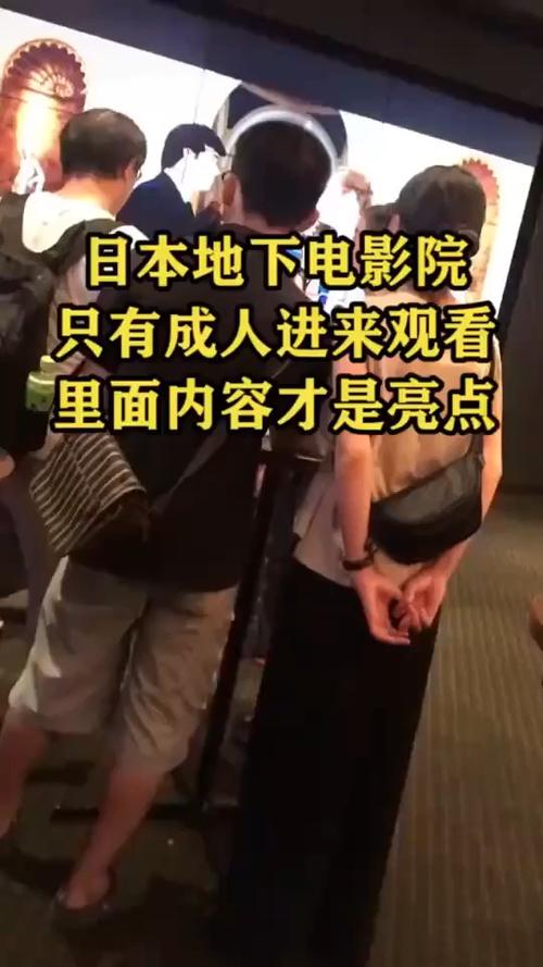 成人高清电影网