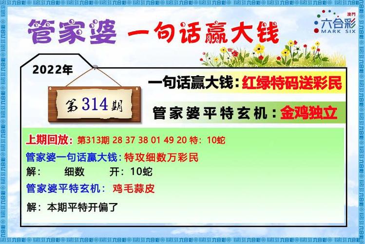 澳门六开彩开奖结果i查询2021年,设计策略快速解答_VR型43.237