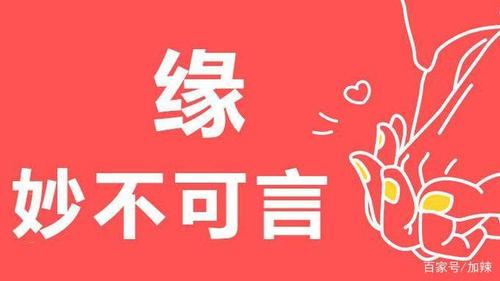 缘妙不可言下一句怎么接