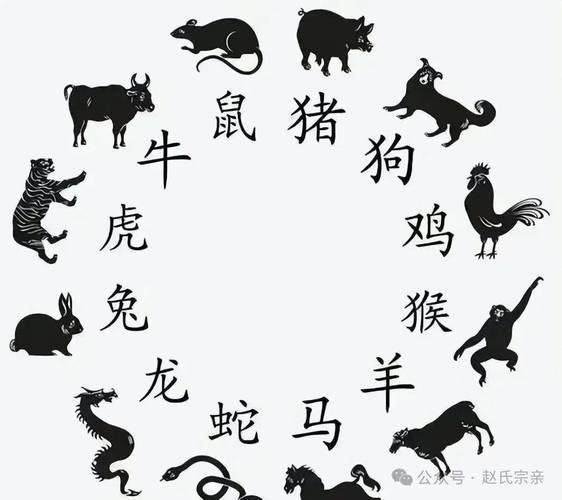 三四代表什么生肖