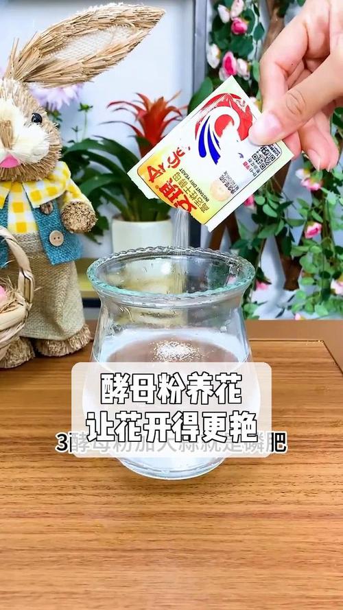 女生晒养了三年酵母,养几十年的酵母