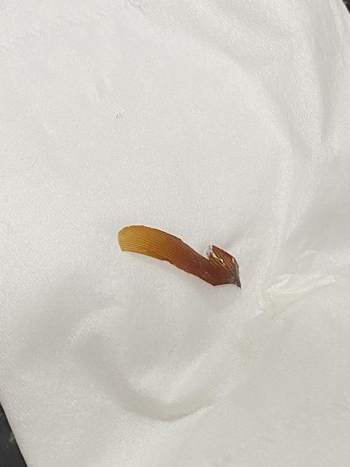 产品中心 第7页