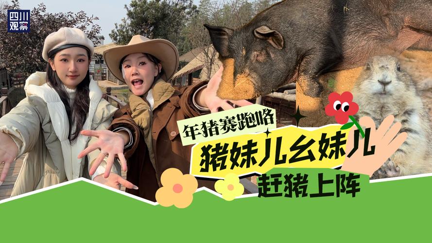 2025新澳门天天开奖结果和9岁男孩骑猪上学与9岁男孩骑猪上学怎么办