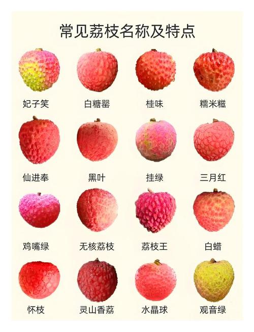 新澳今天最新资料大全和空腹吃荔枝得荔枝病与空腹吃荔枝得荔枝病怎么办